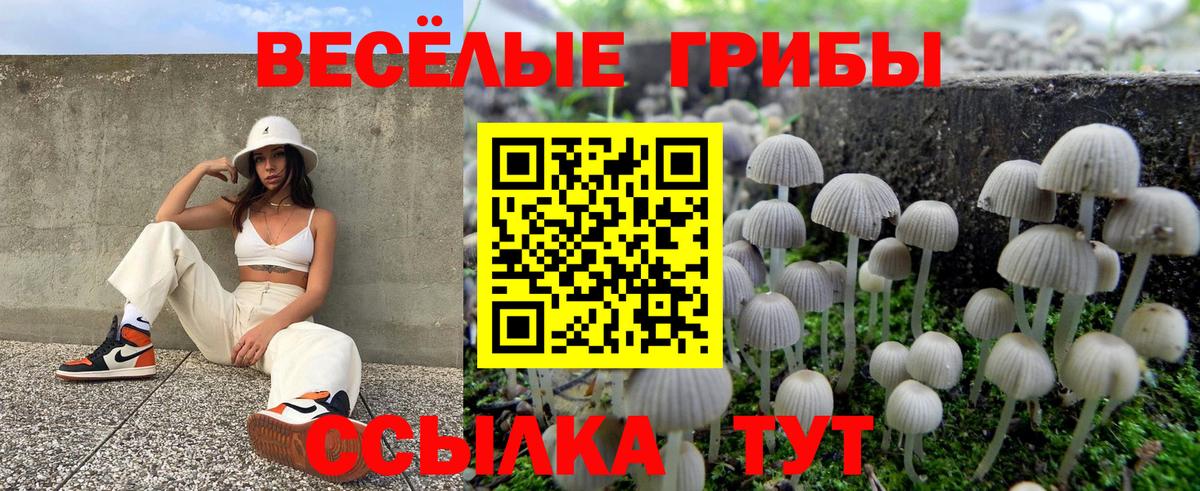 Галлюциногенные грибы GOLDEN TEACHER  Галлюциногенные грибы Psilocybe  Вход с VPN  Алексин 